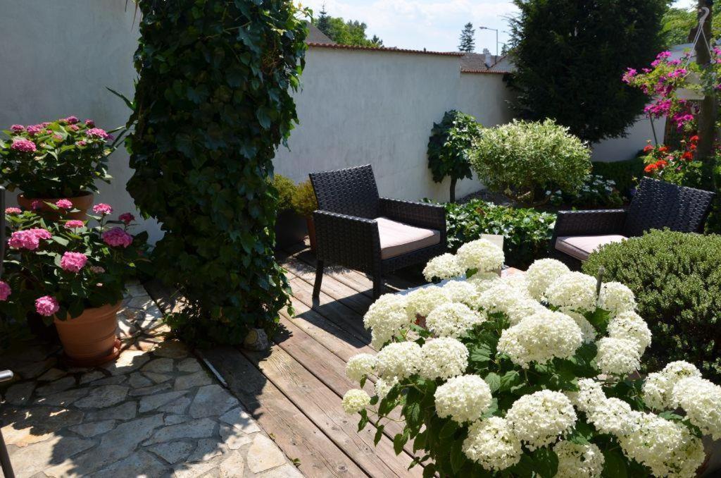 Gaestezimmer Klinger-Tongisch Apetlon Esterno foto