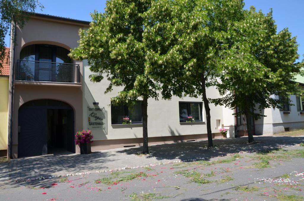Gaestezimmer Klinger-Tongisch Apetlon Esterno foto